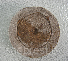 Торфяная таблетка (торфотаблетка) JIFFY 30-33 мм