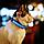 Фонарь-ошейник светодиодный для домашних животных  на батарейках модель LED DGC (р.М), фото 7