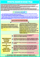 ПЛАКАТ №137 "Проверка знаний по охране труда" плакат р-р 50*70 см, на пластике