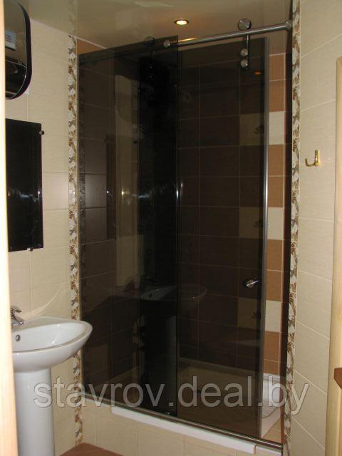 Тонированная перегородка в ванную и душ - фото 1 - id-p118617978