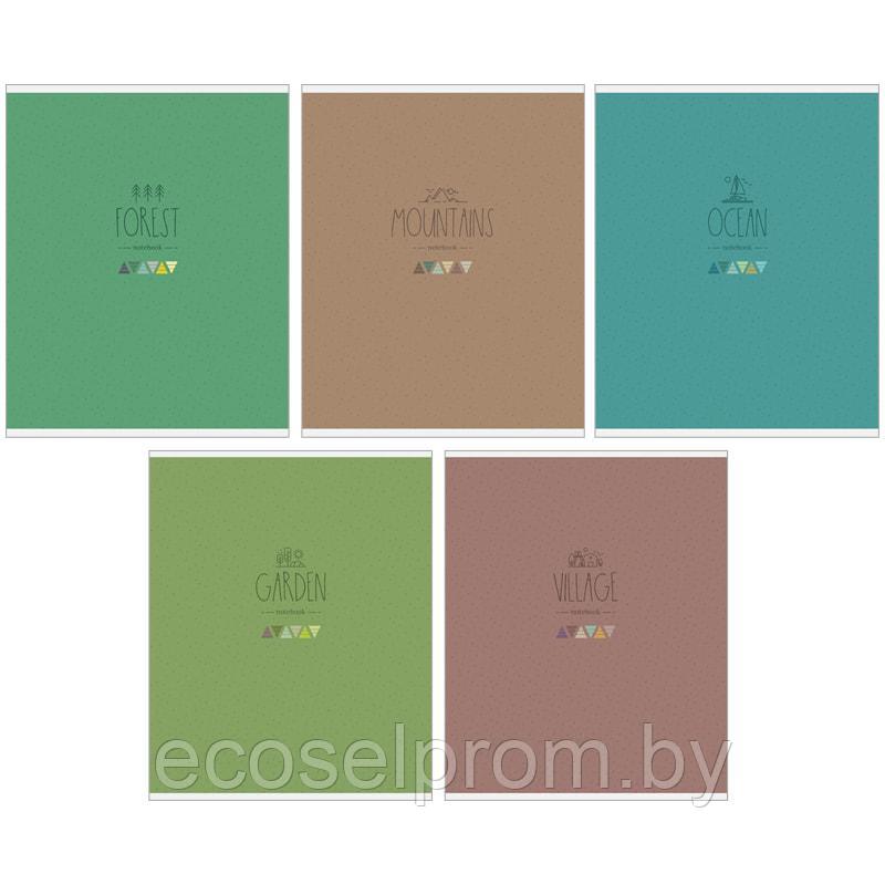 Тетрадь 48л., А5, клетка ArtSpace "Моноколор. Free life", ВД-лак, эконом