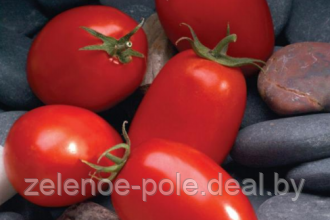 Семена томата Мариана F1, в упаковке 500 шт. - фото 1 - id-p113525601