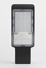 Светильник светодиодный уличный консольный ЭРА SPP-502-0-50K-050  IP65 50Вт 5000лм 5000К (КСС "Д") IC 48мм
