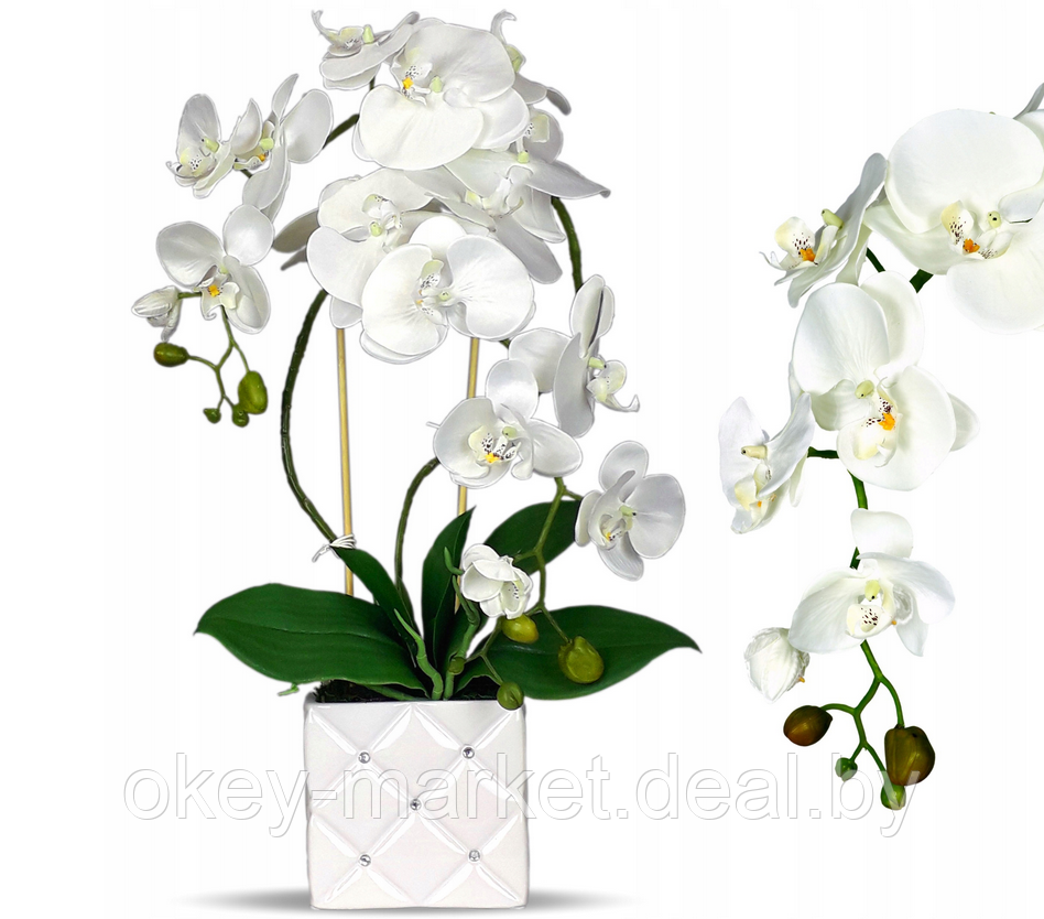 Цветочная композиция из орхидей в горшке B051 - фото 1 - id-p109455579