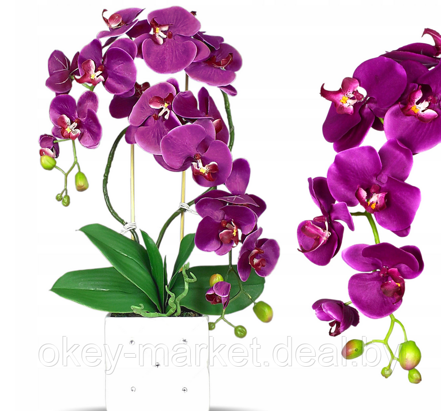 Цветочная композиция из орхидей в горшке  F051