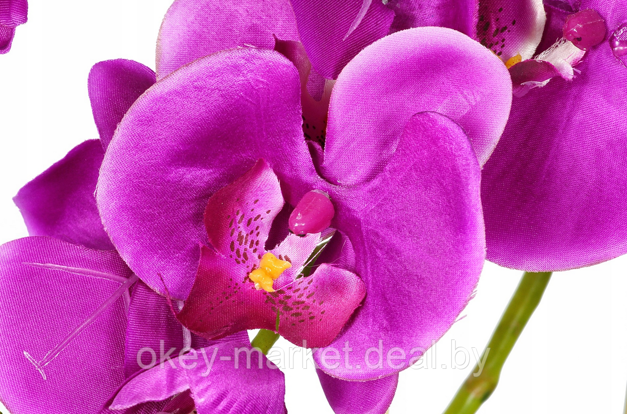 Цветочная композиция из орхидей в горшке F051 - фото 2 - id-p118697685