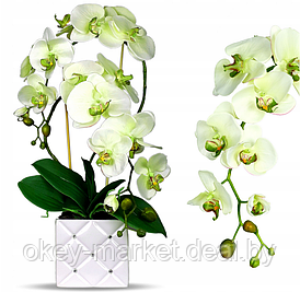 Цветочная композиция из орхидей в горшке E051