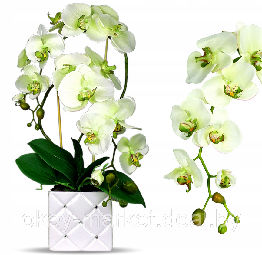 Цветочная композиция из орхидей в горшке E051 - фото 1 - id-p118697694