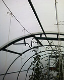 Теплица СЛАВА-АГРО (технология Митлайдера) длинна 4метра, фото 3
