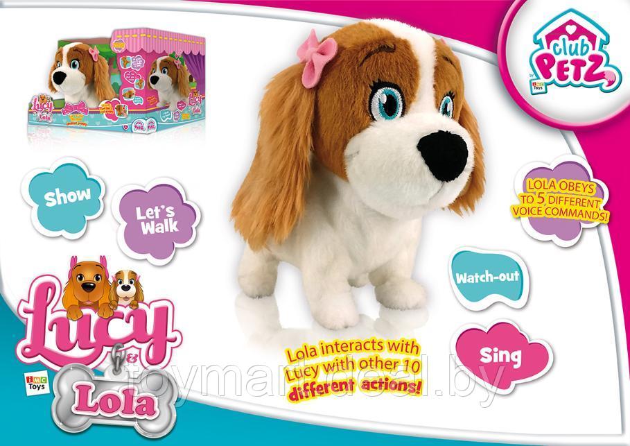 Интерактивная собака Lola, Club Petz IMC Toys 170516 - фото 7 - id-p118703578