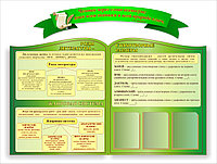 Стенд по русской литературе "Роды, стихотворные размеры" на пластике, р-р 150*115 см