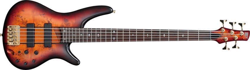 Ibanez Bass Series SR805 AWT - фото 1 - id-p118731696