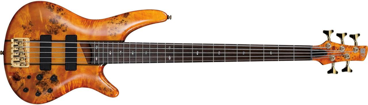 Ibanez Bass Series SR805 AM - фото 1 - id-p118731741