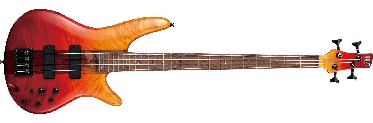 Ibanez Bass Series SR870 ALG - фото 1 - id-p118731788
