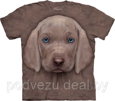 Футболка Weimaraner Puppy (103862) - фото 1 - id-p5302881