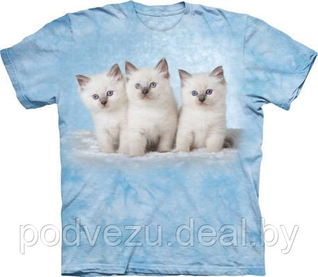 Футболка Cloud Kittens (108170) - фото 1 - id-p5302865