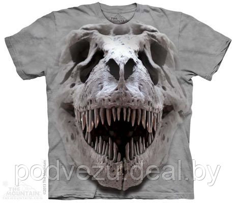 Футболка T-Rex Big Skull (103778) - фото 1 - id-p4860176