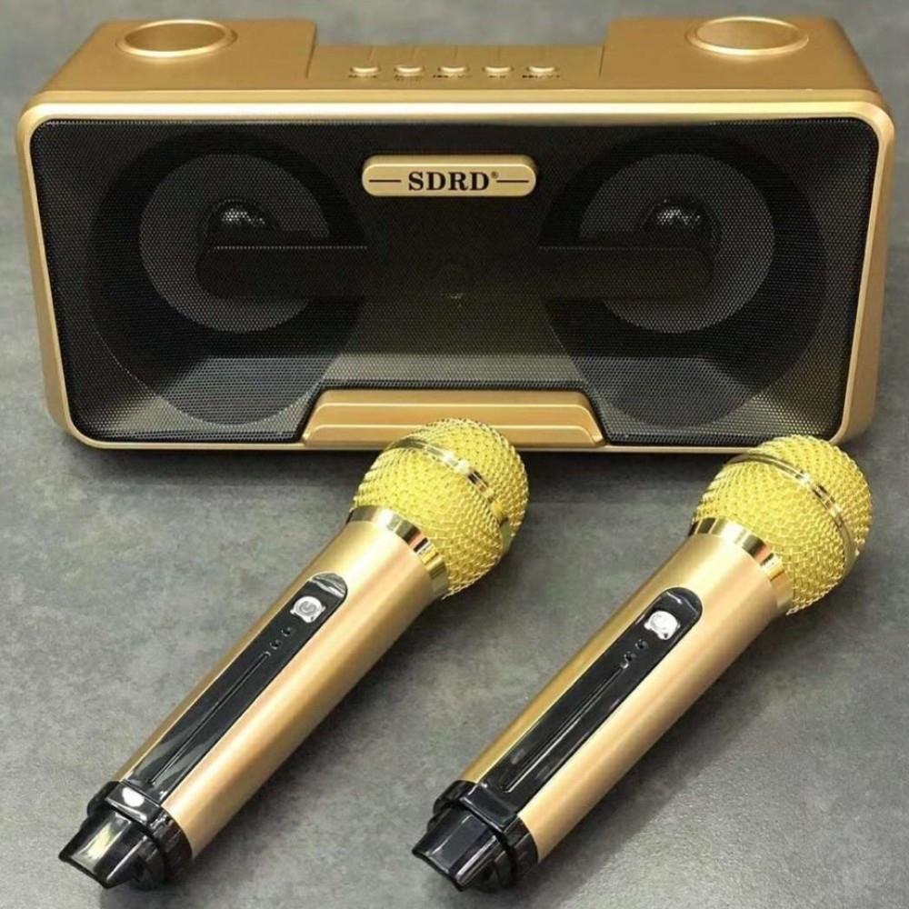 Караоке система на два микрофона SDRD SD-301 - фото 5 - id-p118856568