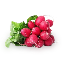 Семена редиса, редьки, репы