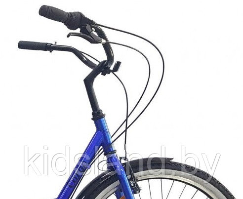 Велосипед Aist Cargo 24 2.0" (синий) - фото 3 - id-p118893607