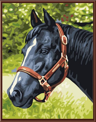 Картина по номерам Лошадь №4 (PC3040012)
