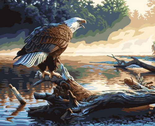 Картина по номерам Орел охотник (PC4050076)