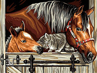 Картина по номерам Лошади и котик (PC3040045)