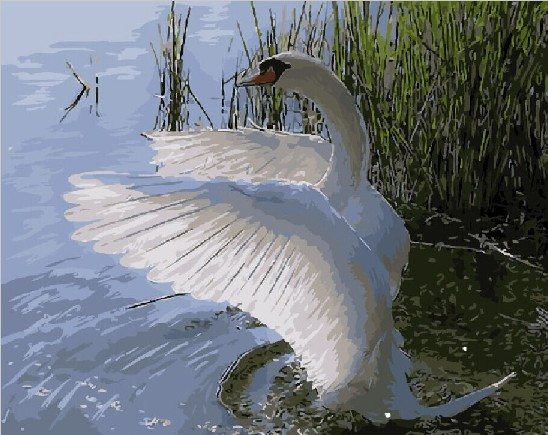 Картина по номерам Красавец лебедь (PC4050406)