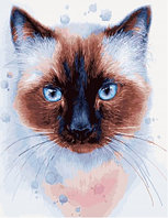 Картина по номерам Сиамская кошка (PC4050537)