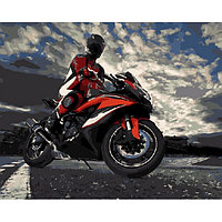 Картина по номерам Мотоциклист (PC4050439)