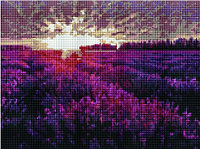 Алмазная мозаика "Закат над лавандовым полем" (PD3040003)