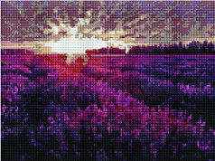 Алмазная мозаика "Закат над лавандовым полем" (PD3040003)