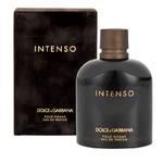 Туалетная вода DolceGabbana INTENSO Men 40ml edp