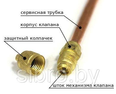 Клапан Шредера Купить В Минске