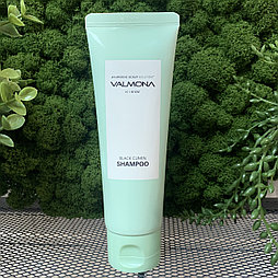 Аюрведический шампунь для волос Evas Valmona Ayurvedic Scalp Solution Black Cumin Shampoo, 100 мл