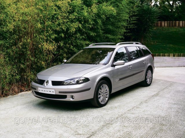 Компьютерная диагностика Renault Laguna - фото 5 - id-p7328118