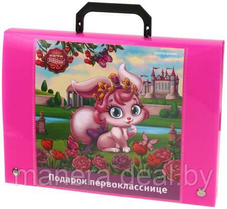 Портфель пластиковый «Подарок первокласснице», розовый (рисунок ассорти) - фото 4 - id-p119022722
