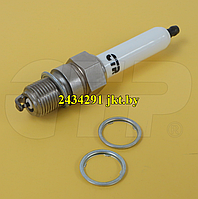 2434291 свечи зажигания Spark Plugs