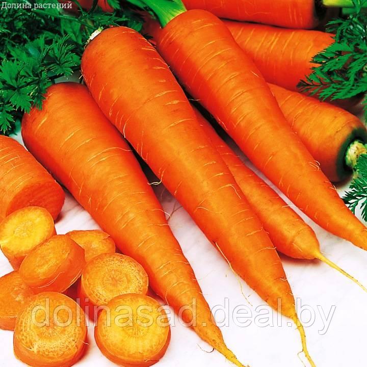 Гавриш Морковь на ленте Зимний Цукат Н13