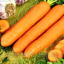 Гавриш Морковь Хрустишка-зайчишка