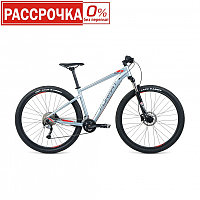 Велосипед FORMAT 1411 29 (2020)