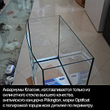 Аквариум Биодизайн Классик 40R (38 литров)., фото 6