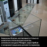 Аквариум Биодизайн Классик 50R (53 литра)., фото 6