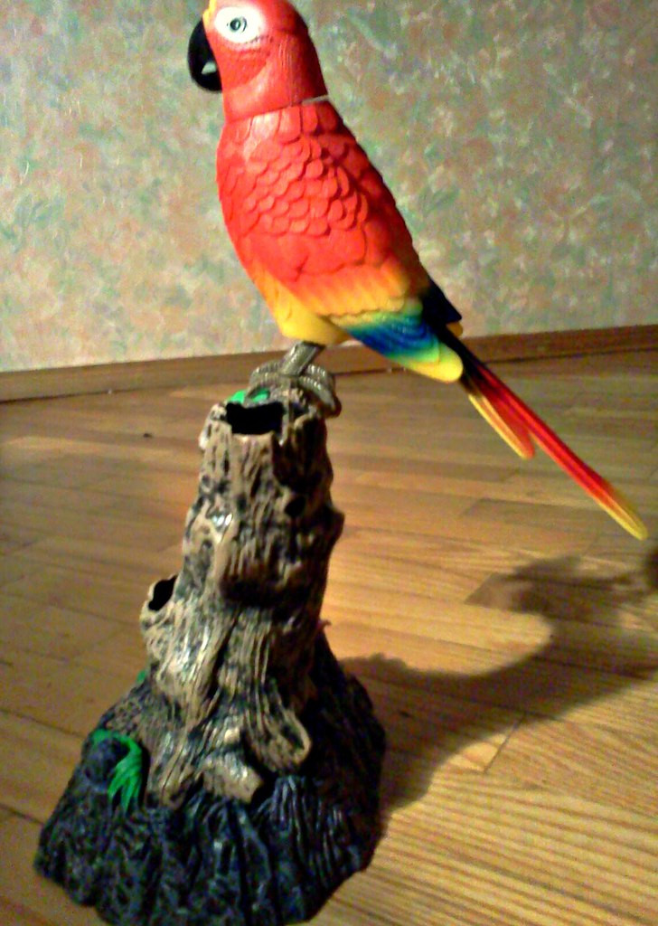 Говорящий попугай повторяшка - фото 3 - id-p7338105