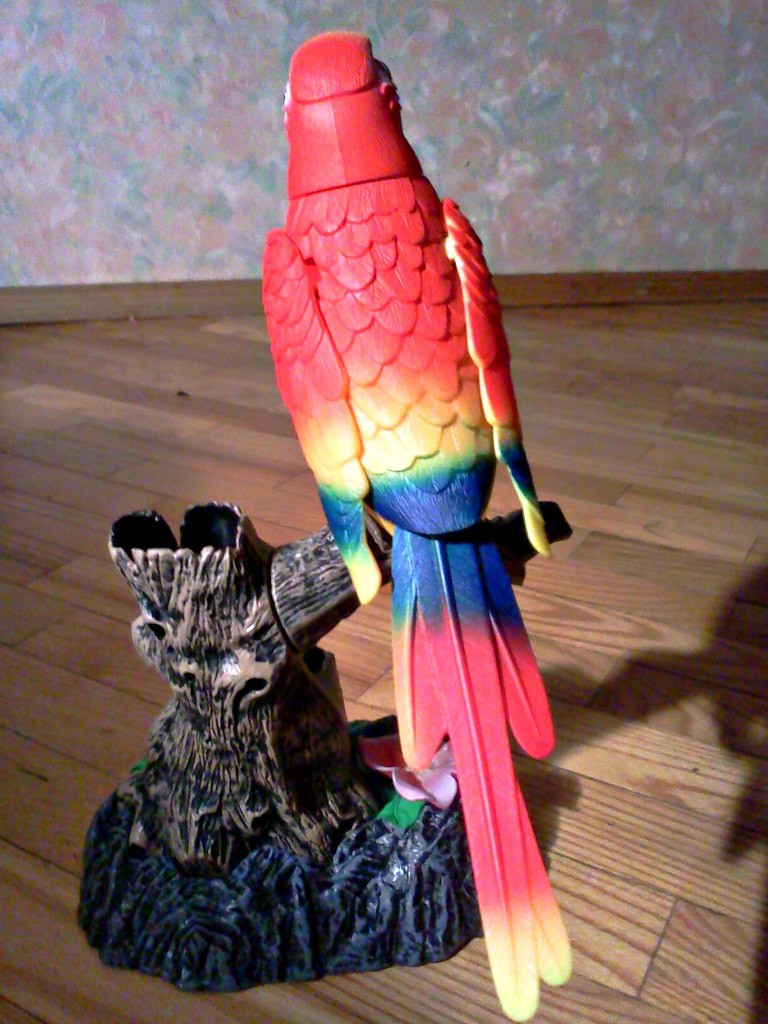Говорящий попугай повторяшка - фото 4 - id-p7338105