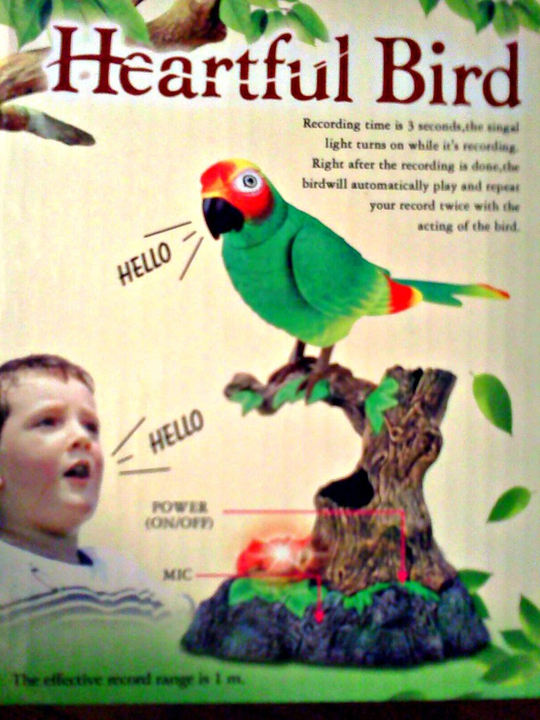 Говорящий попугай повторяшка - фото 5 - id-p7338105