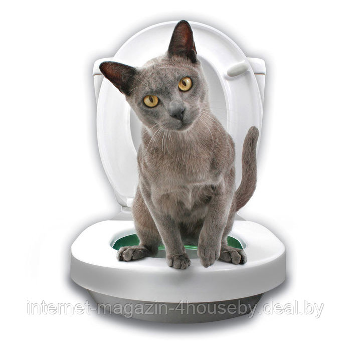 Система приучения кошек к унитазу Citi Kitty Cat Toilet Training Kit - фото 4 - id-p7338153
