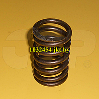 1032454 / 103-2454 пружина клапана Valve Springs