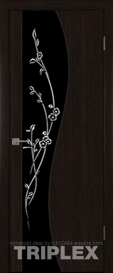 Дверь межкомнатная Триплекс 3 черный с рисунком 800*2000 Черный шелк
