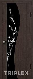 Дверь межкомнатная Триплекс 3 черный с рисунком 800*2000 Венге